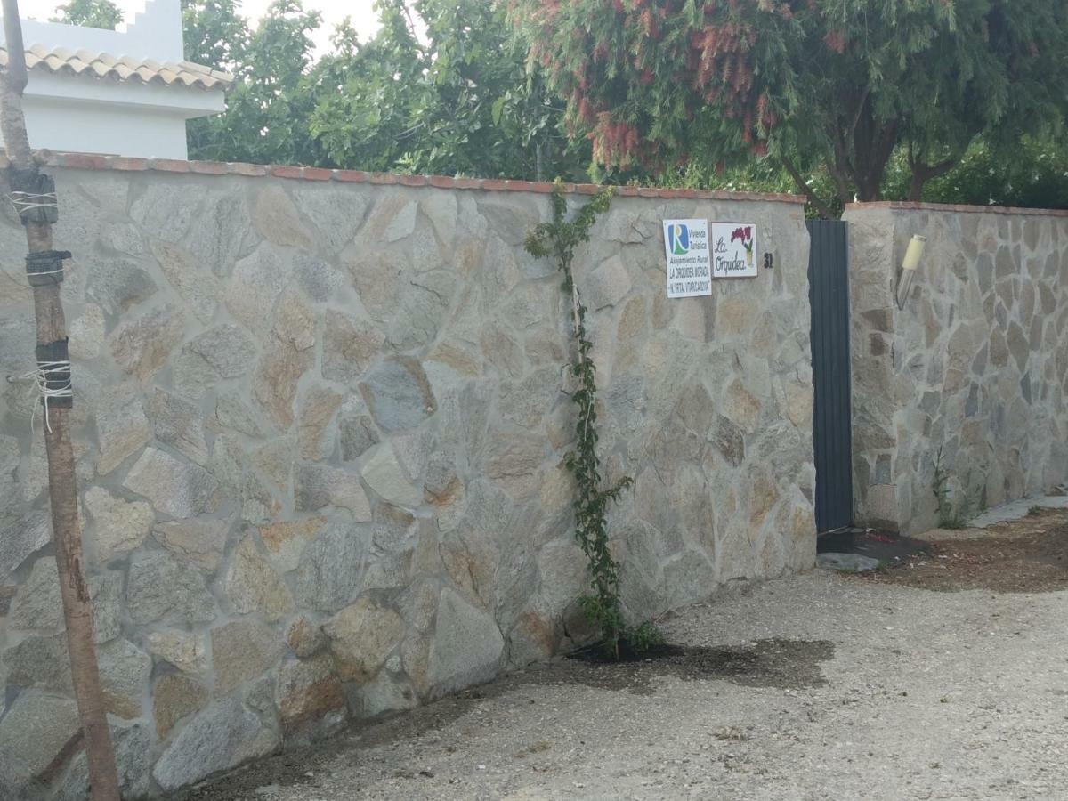 La Orquidea Morada Villa Conil de la Frontera Kültér fotó